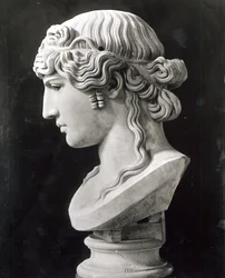 Busta Antinouse (asi 110-30) zvaná "Antinous Mondragone", asi 130-138 n. l. (mramor)